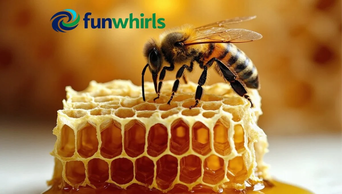 bees fun facts