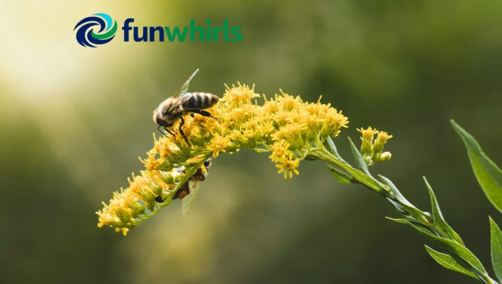 How You Can Help Bees in Your Backyard