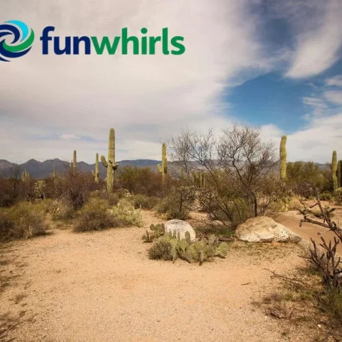Arizona Fun Facts
